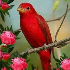 Схема вышивки «№2360265»