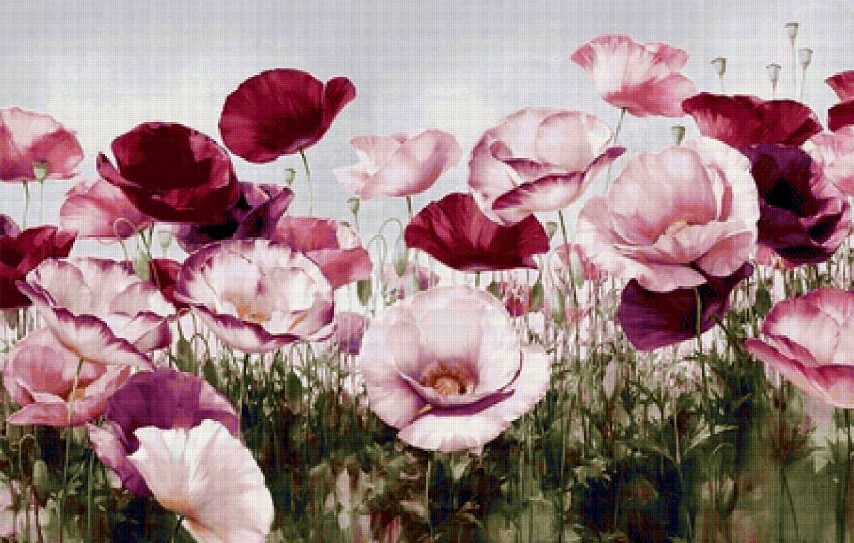 Flores. - flores. - предпросмотр