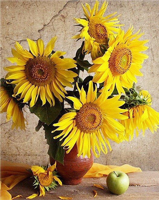 Słoneczniki - букеты - оригинал