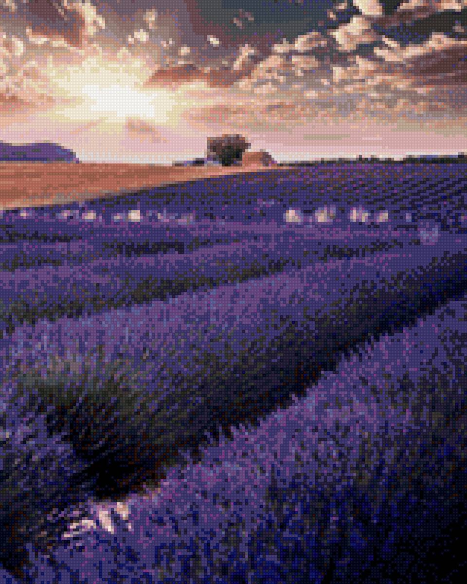 Прованс - предпросмотр