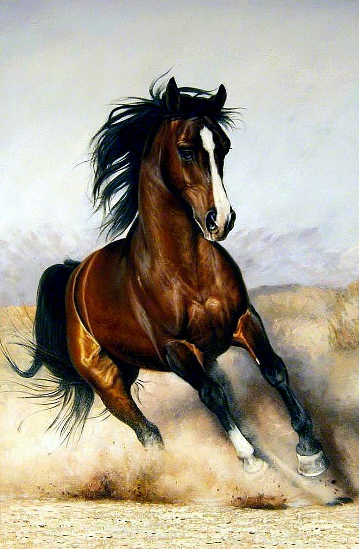 Галоп. Бруно Тина Августо - художники - оригинал