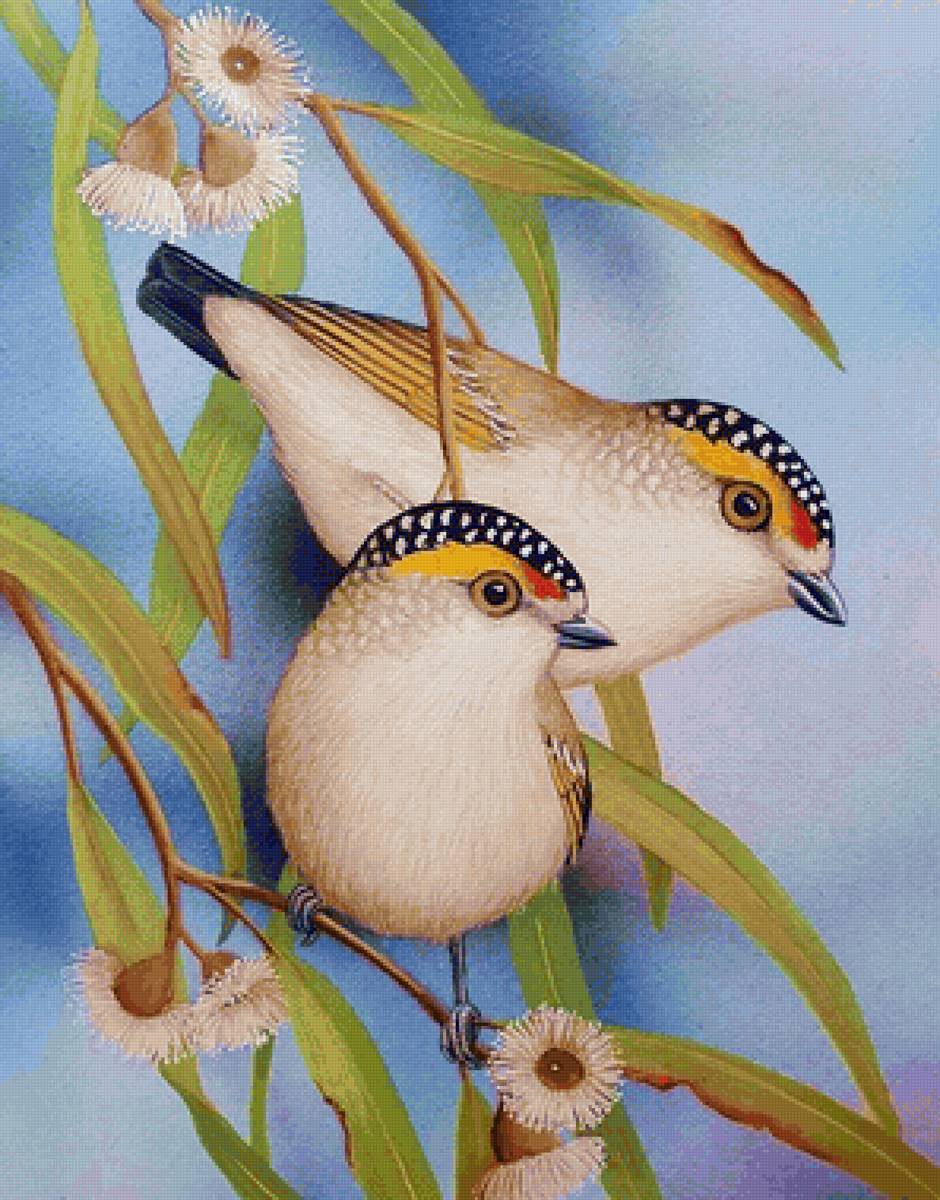 Pássaros . - pássaros. flores. - предпросмотр