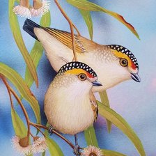 Схема вышивки «Pássaros .»