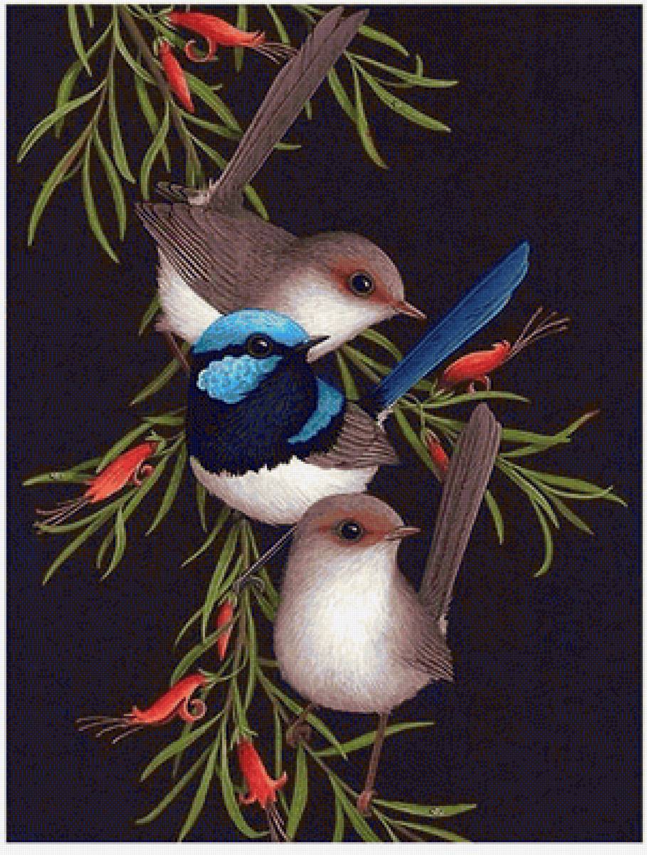 Pássaros . - pássaros. flores. - предпросмотр