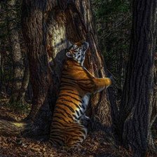 Схема вышивки «В лесу»