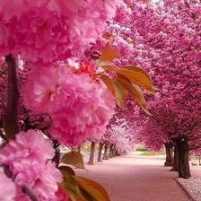 Схема вышивки «peisaje»