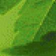 Предпросмотр схемы вышивки «Зеленое настроение» (№2361621)