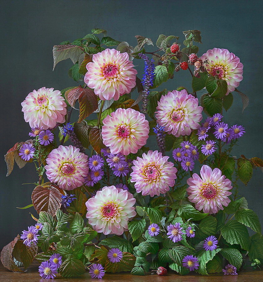 dalie - оригинал