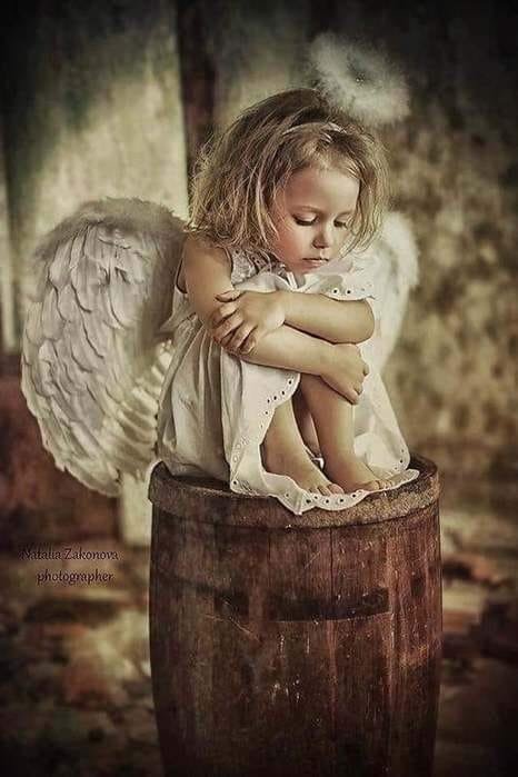 №2362176 - оригинал