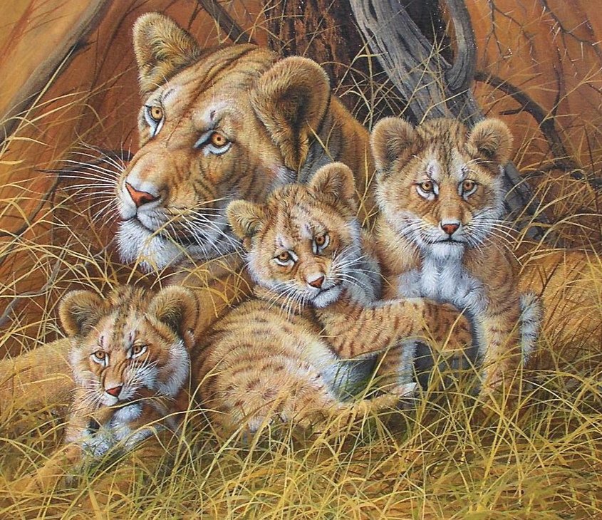 Тигриное семейство - тигры - оригинал