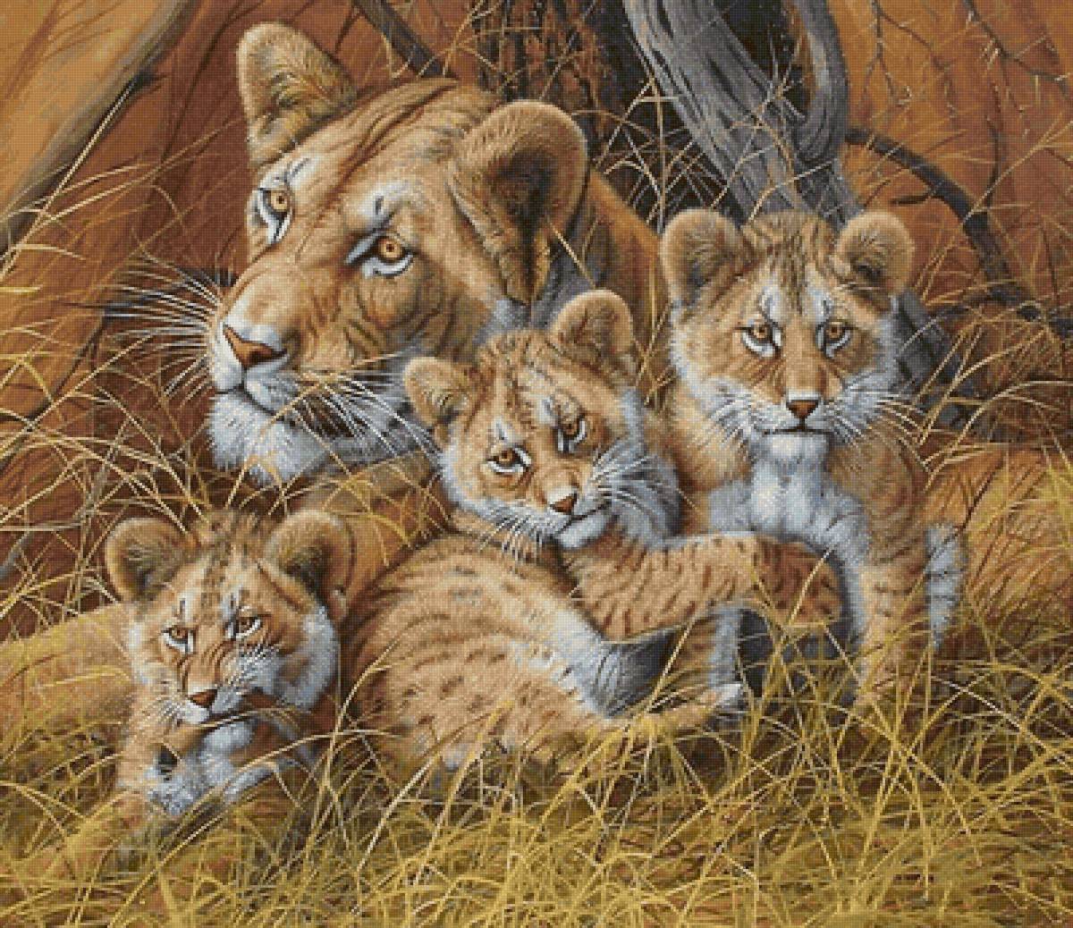 Тигриное семейство - тигры - предпросмотр