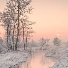 Схема вышивки «№2362847»