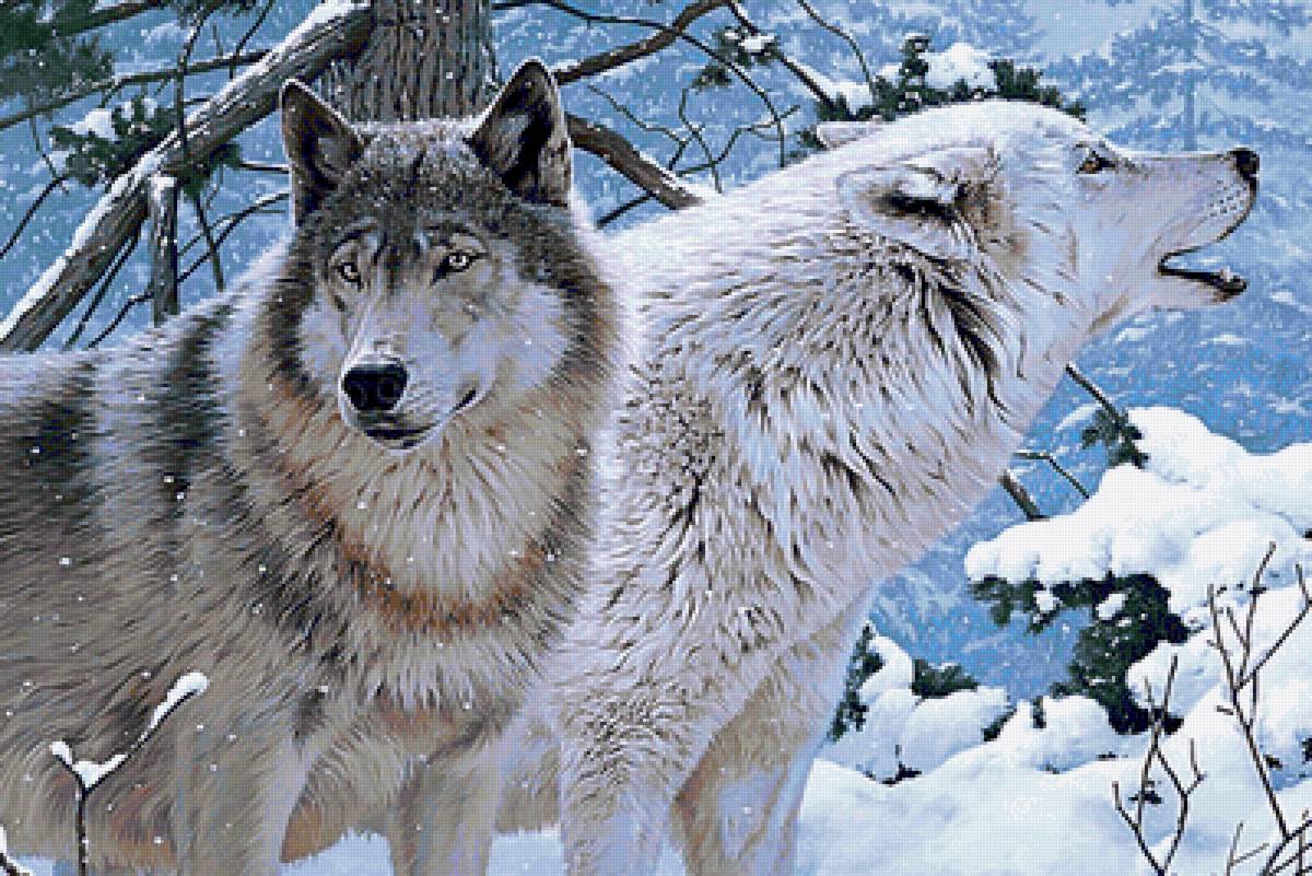 Волки - волки - предпросмотр