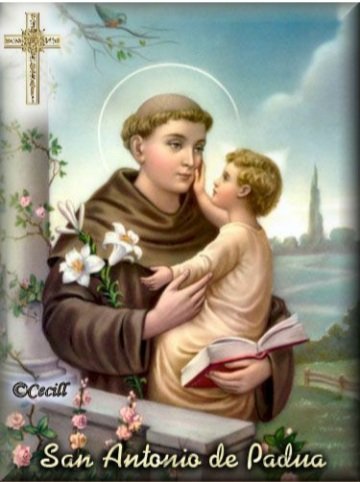 San Antonio de padua - mariposas - оригинал