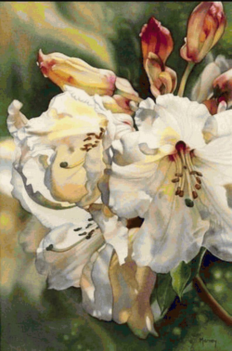 Лилия - букет, лилия, цветы - предпросмотр