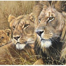 Схема вышивки «семья лвов»
