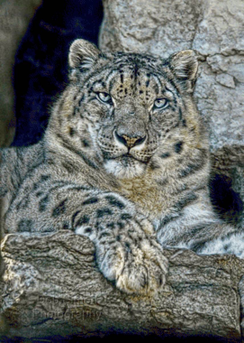 Leopardo. - animais. - предпросмотр