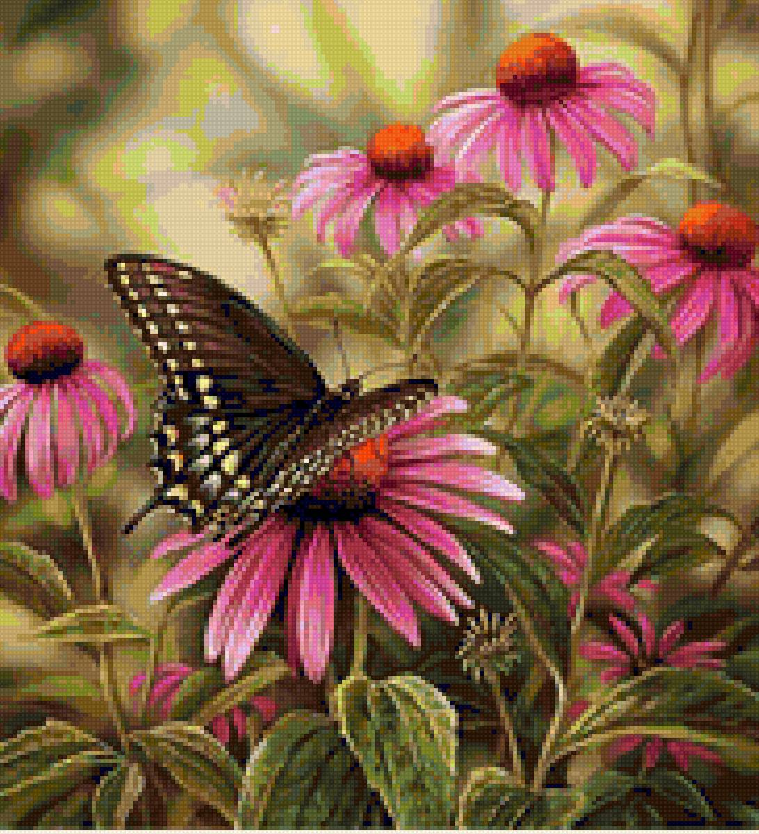 №2365997 - бабочка - предпросмотр