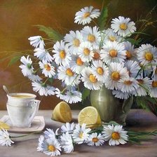 Схема вышивки «Boque de camomila.»