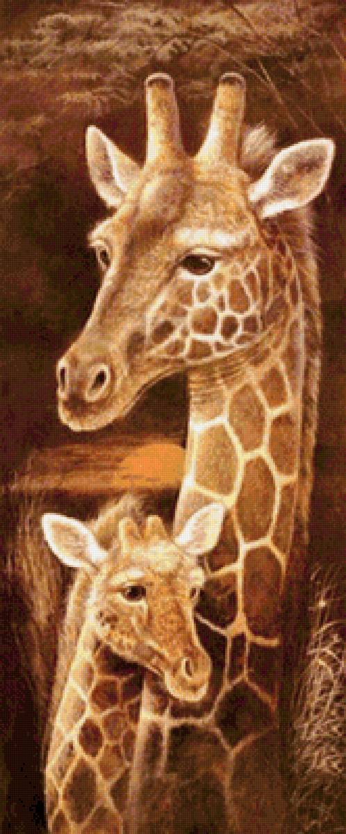 Семья жирафов - предпросмотр