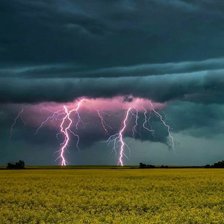 Схема вышивки «№2366193»