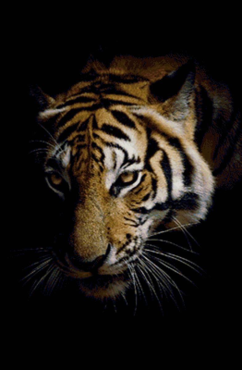 Тигр - предпросмотр