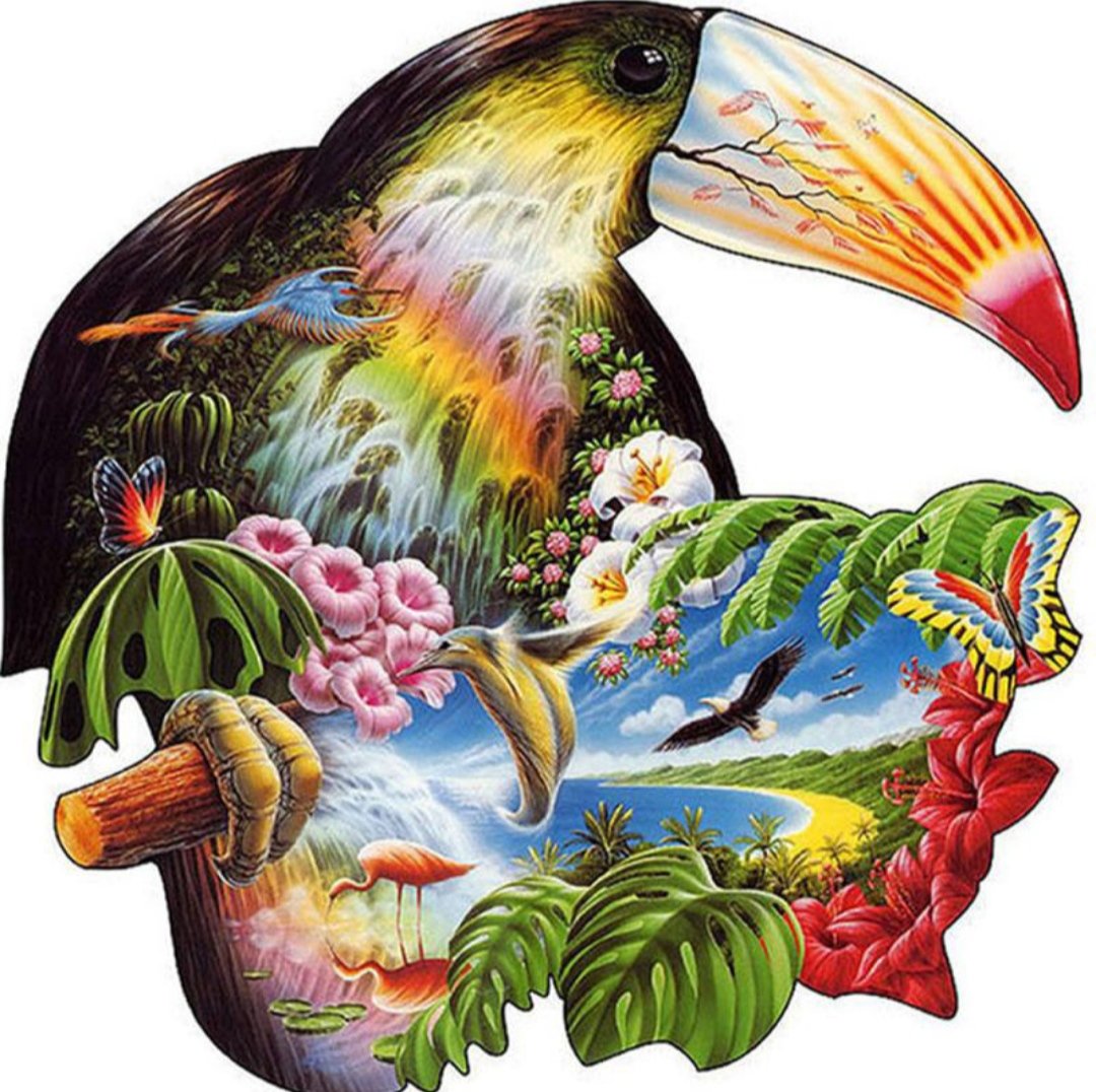 Тукан - оригинал