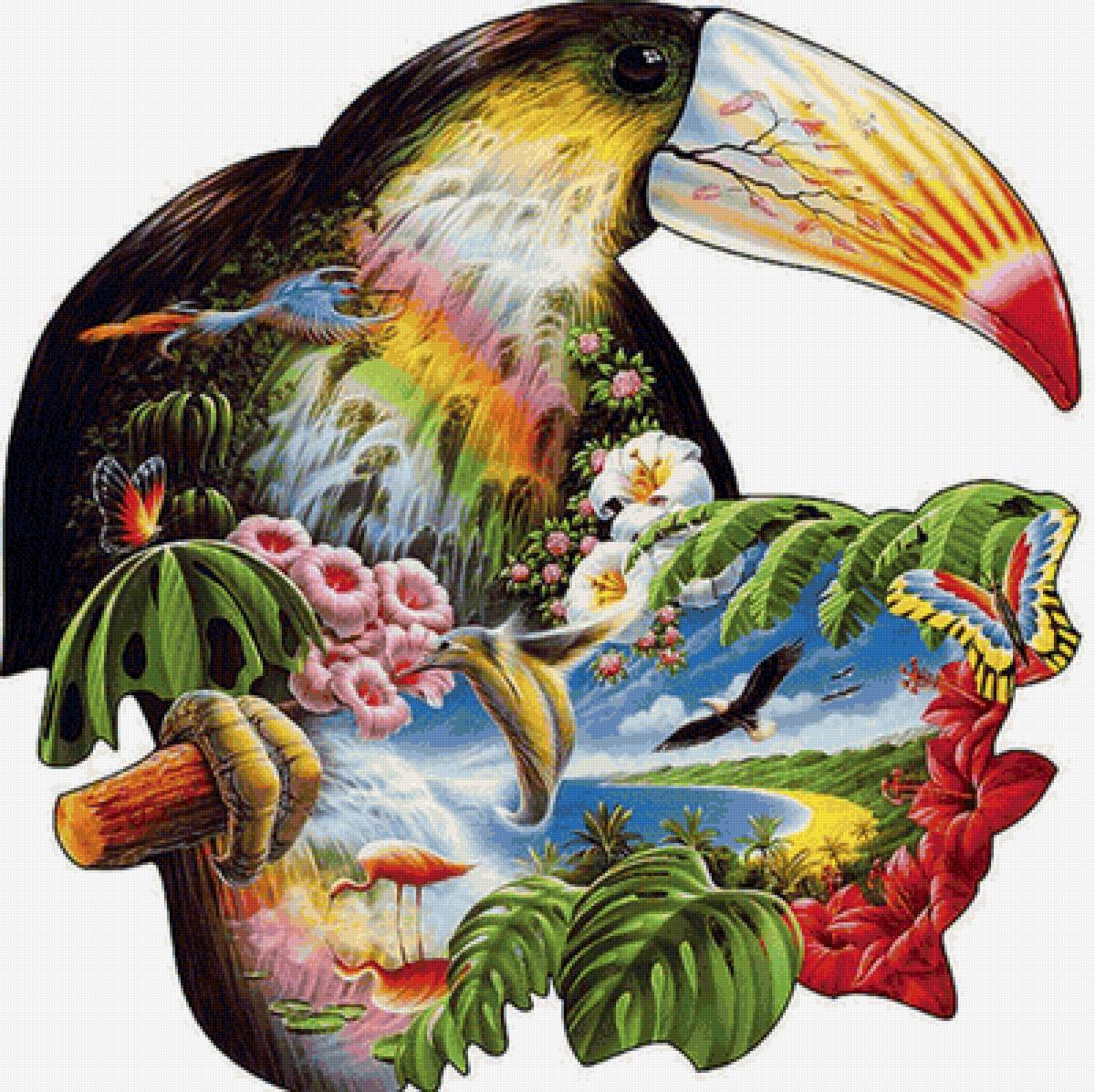 Тукан - предпросмотр