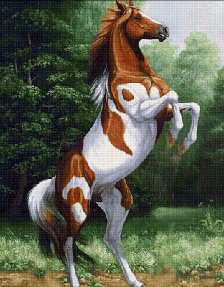 Грация - предпросмотр