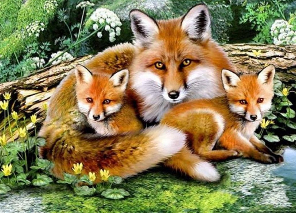 Семья лис - оригинал