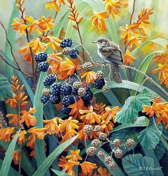 малина - сьюзен барде, живопись, птицы - оригинал