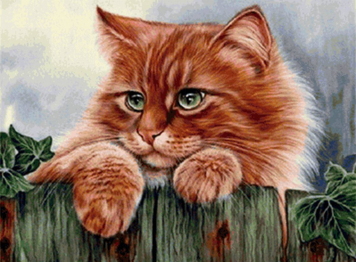 Рыжик - предпросмотр