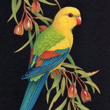 Схема вышивки «Pássaro.»