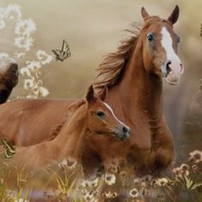 Схема вышивки «Семья лошадей»