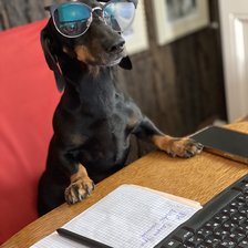 Схема вышивки «Гоша»