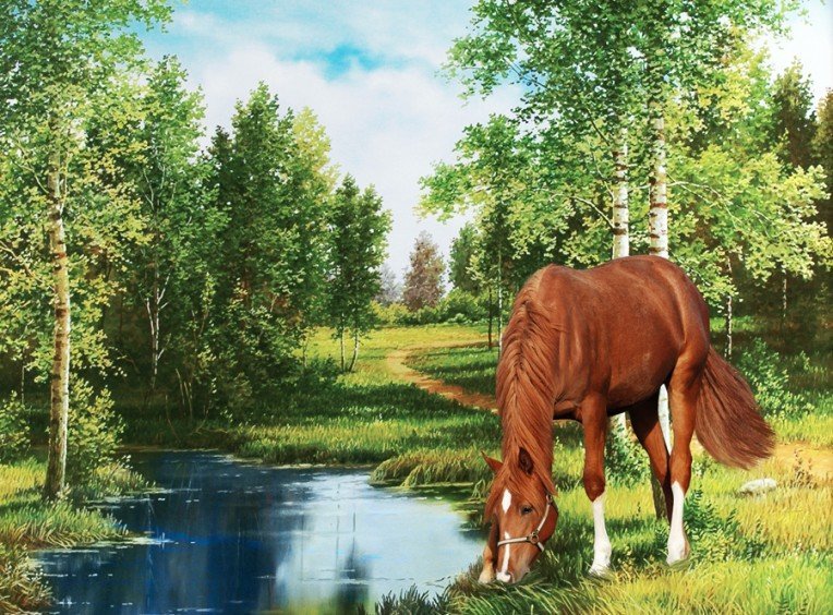 На водопое - пейзаж, лошадь, природа - оригинал