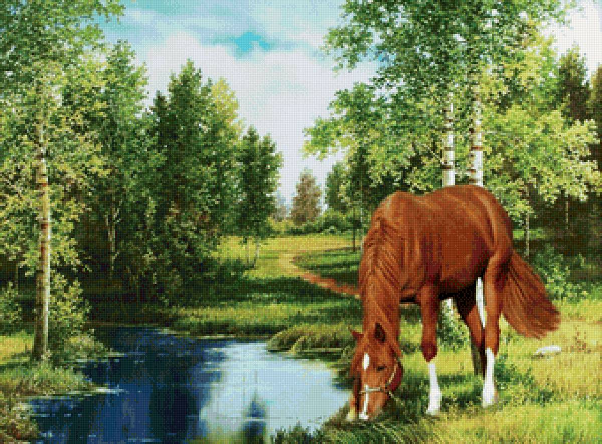 На водопое - лошадь, природа, пейзаж - предпросмотр