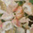 Предпросмотр схемы вышивки «натюрморт» (№2367703)