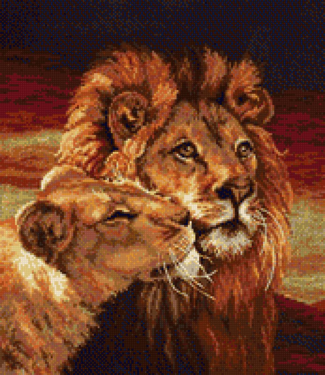 Львы - львица, лев - предпросмотр