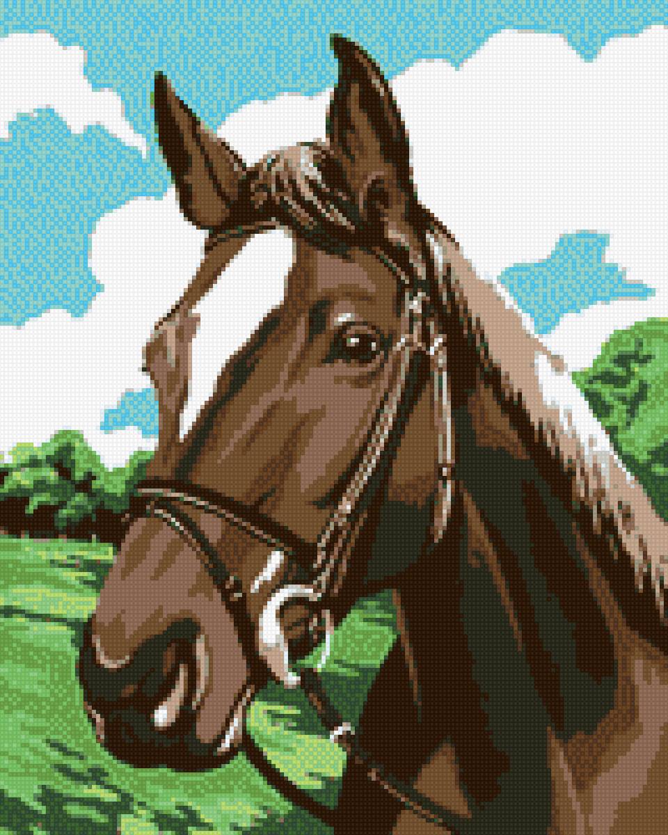 caballo - animales - предпросмотр