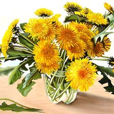 Схема вышивки «Одуванчики»