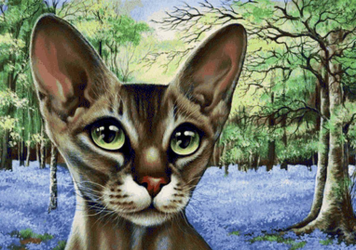 Gato. - animais. .flores .arvores. - предпросмотр