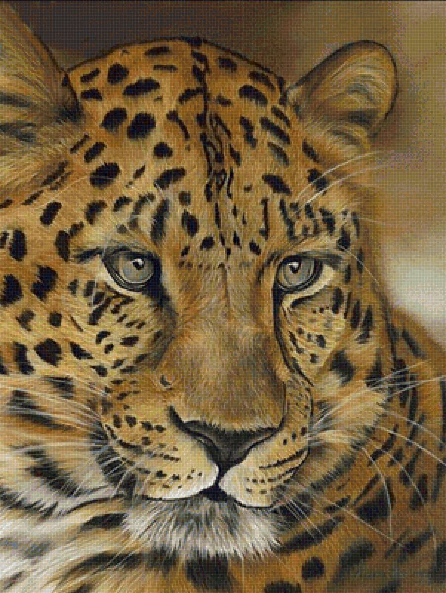 Леопард - предпросмотр