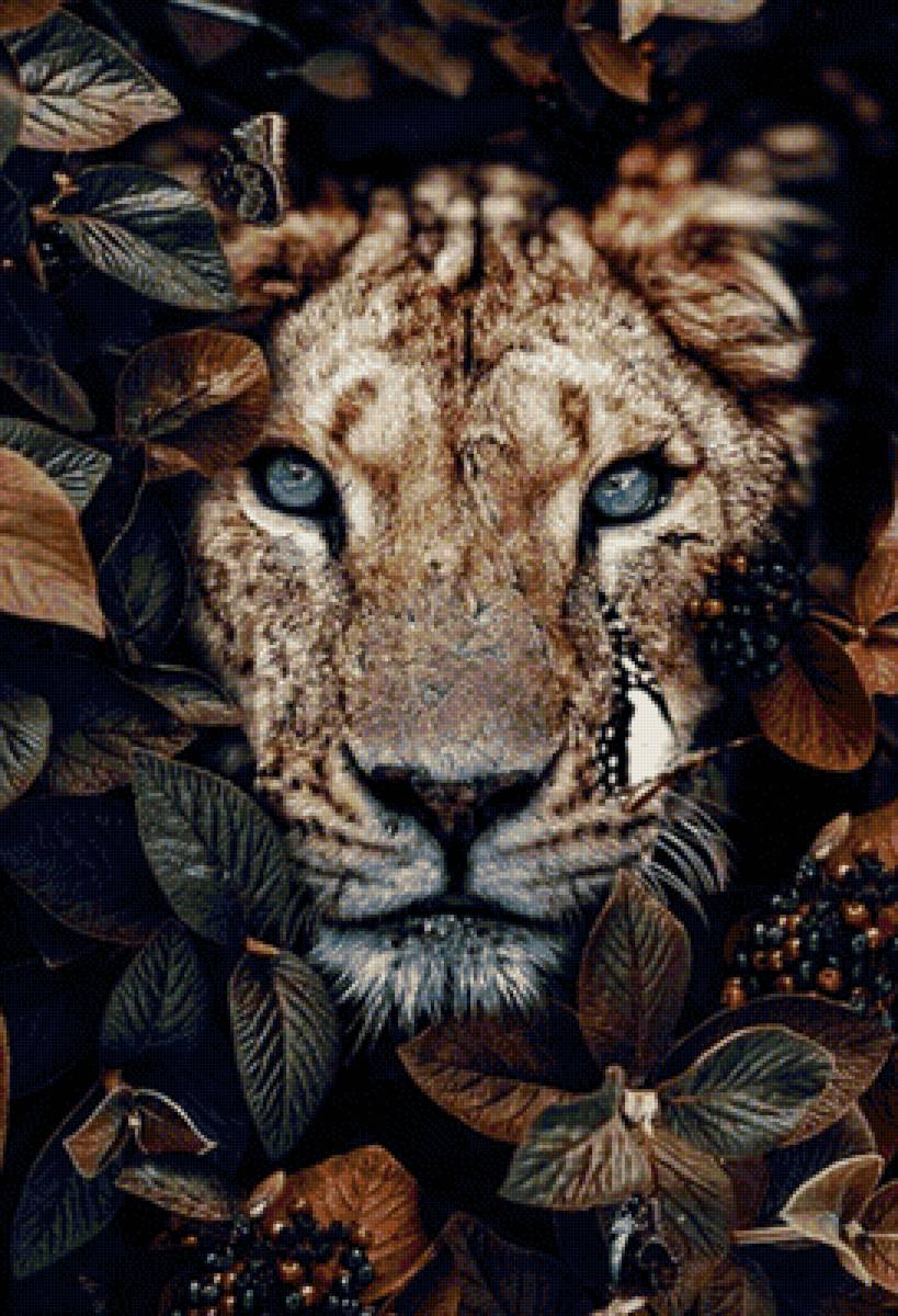 Львица - бабочка, природа, листья, львица - предпросмотр