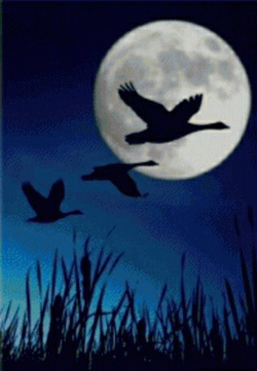 №2369472 - предпросмотр