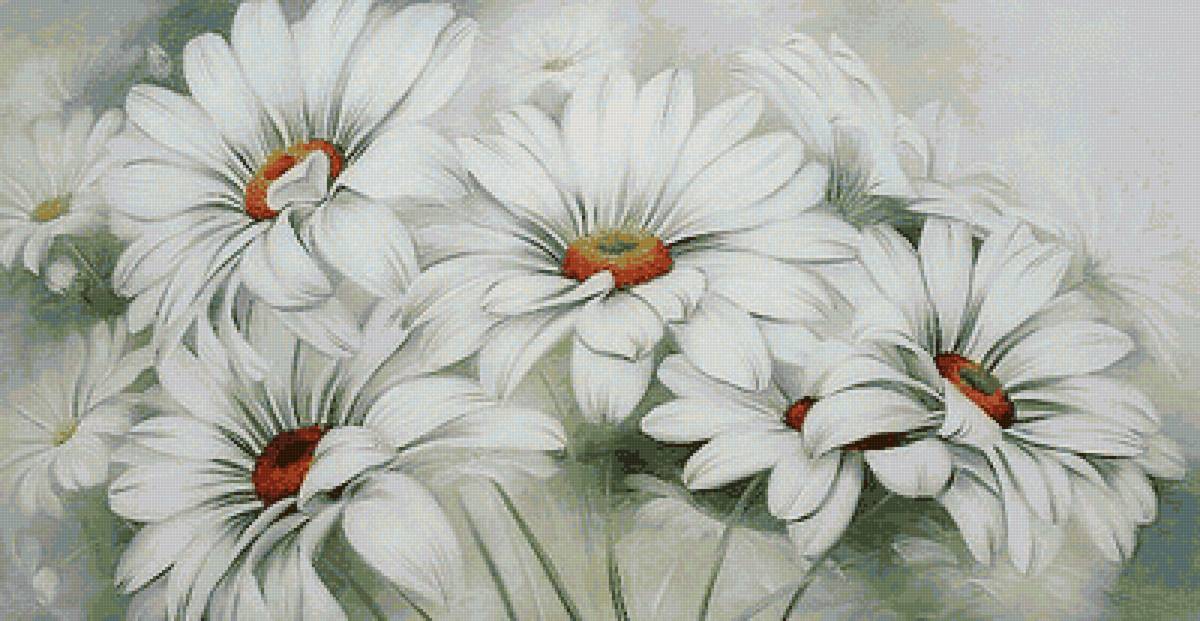 Ромашки - ромашки - предпросмотр