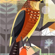 Схема вышивки «Pássaro.»