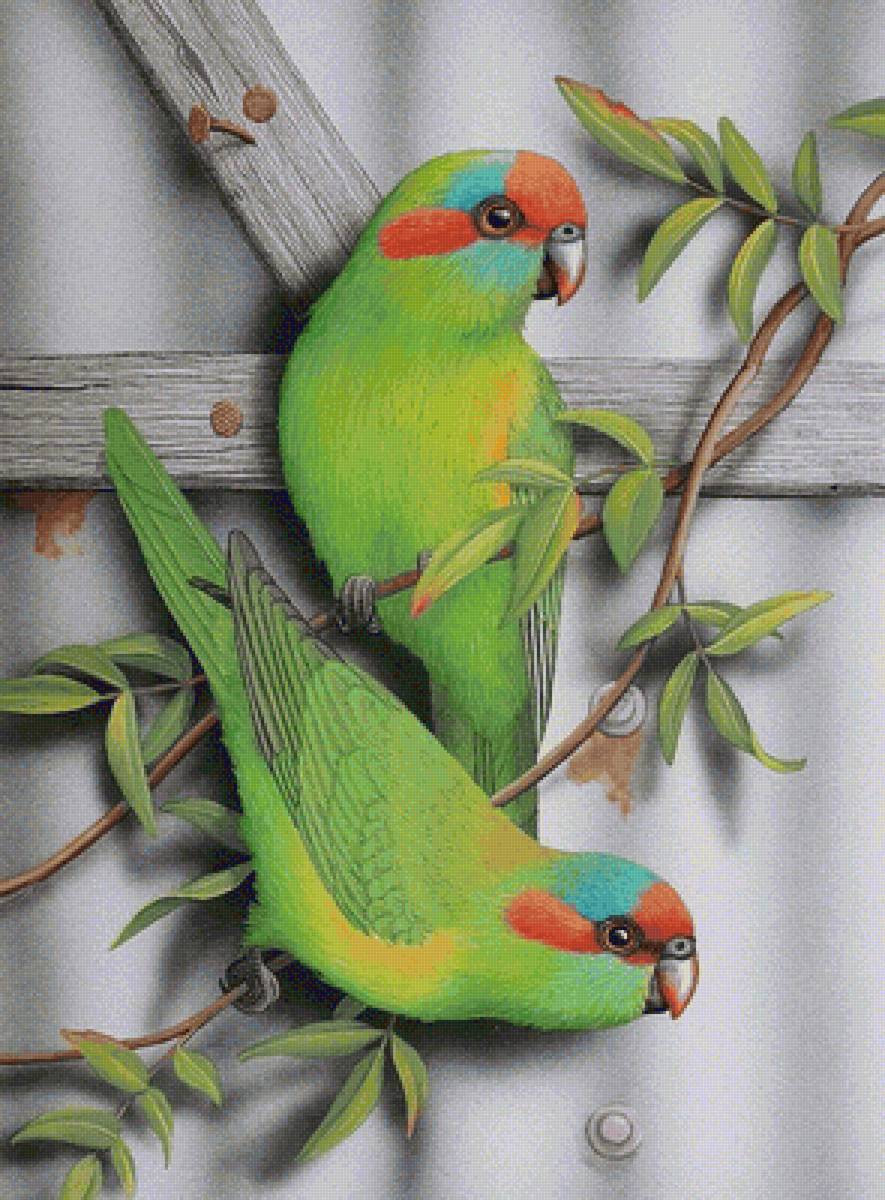 Pássaros . - pássaros. - предпросмотр