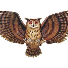 Схема вышивки «сова»