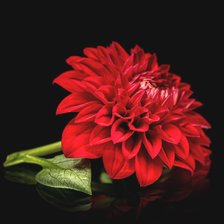 Схема вышивки «№2371009»